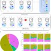 Scientists collect 'microbial fingerprints' found in household ...