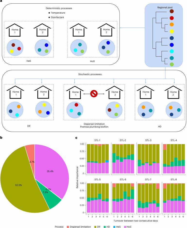 Scientists collect 'microbial fingerprints' found in household ...