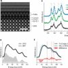 Scientists reveal superconductivity secrets of an iron-based material