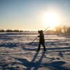 Sink to source: Arctic tundra emitting more carbon than it absorbs