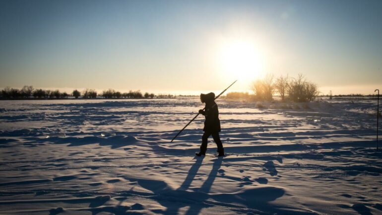 Sink to source: Arctic tundra emitting more carbon than it absorbs