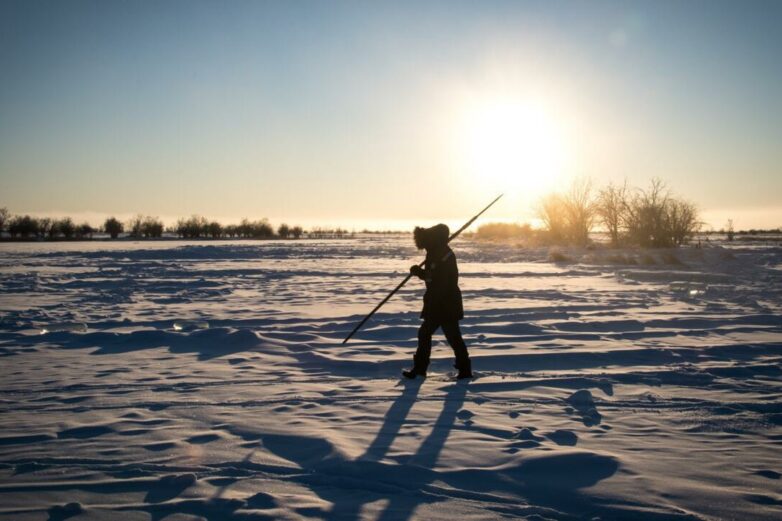 Sink to source: Arctic tundra emitting more carbon than it absorbs