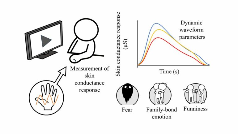 Skin conductance offers a camera-free way to read emotions