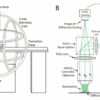 Smallest walking robot makes microscale measurements