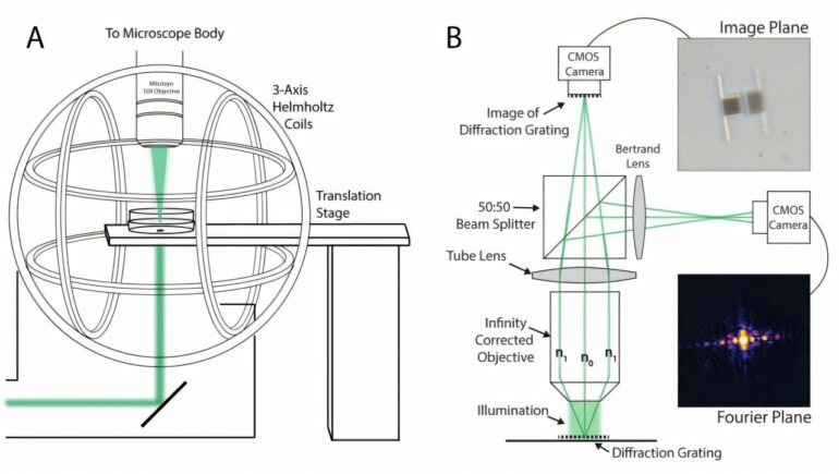 Smallest walking robot makes microscale measurements