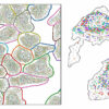 Spatial transcriptomic analysis toolkit can extract biological ...