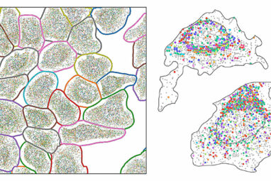 Spatial transcriptomic analysis toolkit can extract biological ...