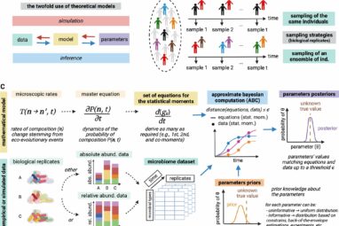 Stochastic model captures microbiome interactions more precisely