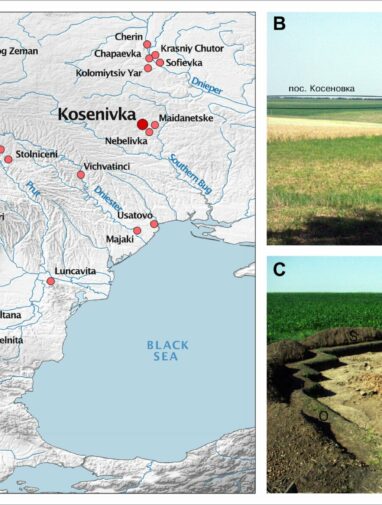 Stone Age insights: Life, death and fire in ancient Ukraine