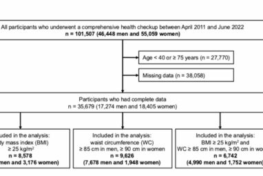 Subjective walking speed can serve as a simple predictor of ...