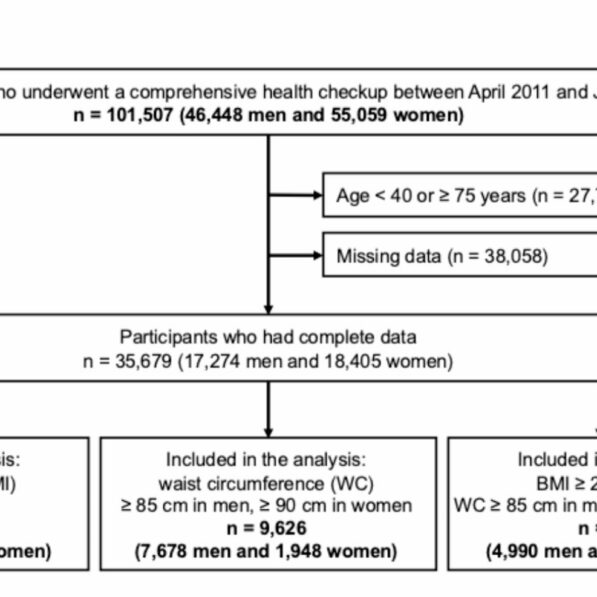 Subjective walking speed can serve as a simple predictor of ...