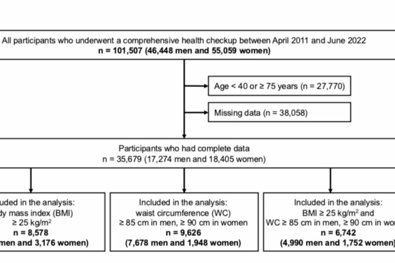 Subjective walking speed can serve as a simple predictor of ...