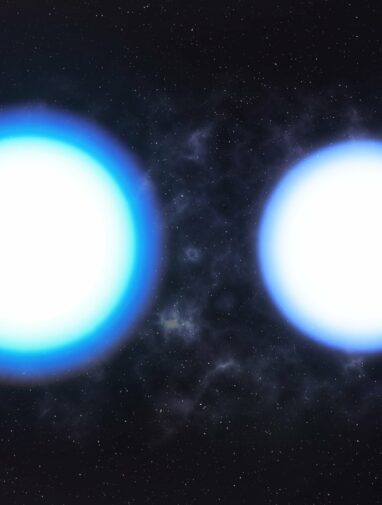 Survey of 26,000 dead stars confirms key details of extreme ...