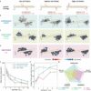 Microrobots and the 'lazy agent problem': Swarm study demonstrates ...