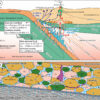 Thermodynamic model identifies how gold reaches Earth's surface