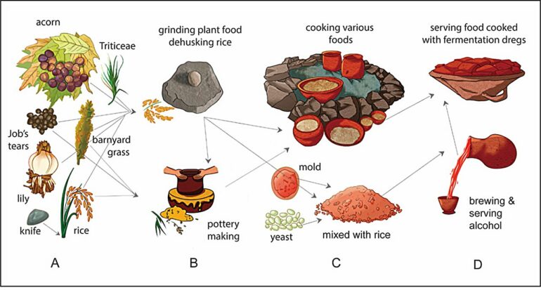 Traces of 10,000-year-old ancient rice beer discovered in ...