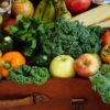 Twin research underscores link between low fruit and vegetable ...