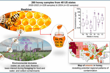 What can bees tell us about nearby pollution? The answer lies in ...