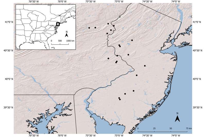 Dogs sniff out devastating spotted lanternflies for early detection