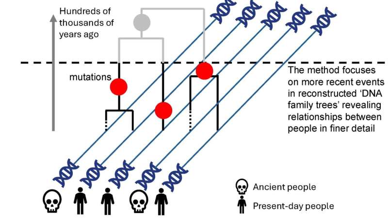 Ancient DNA unlocks new understanding of migrations in the first millennium AD