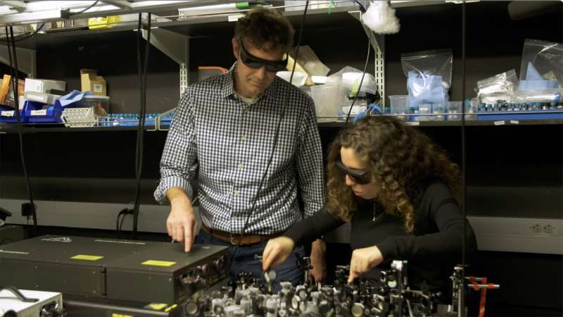 Engineering quantum entanglement at the nanoscale