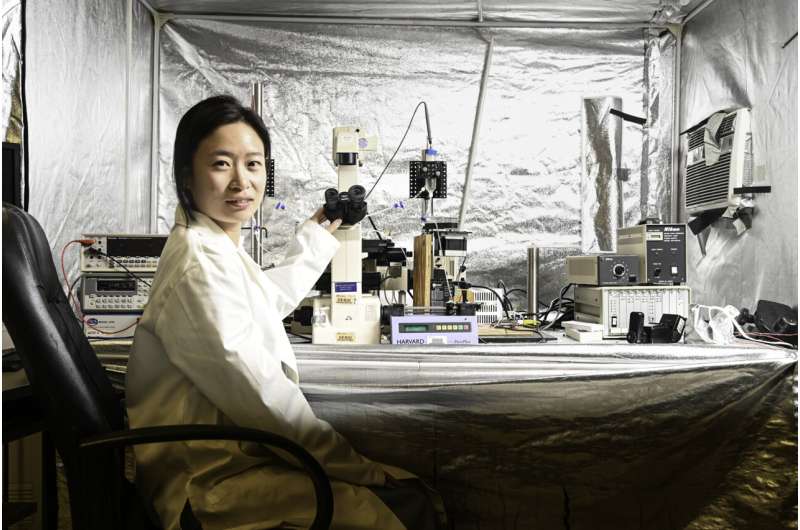 UF engineers develop microfluidic protocol to extract and purify DNA