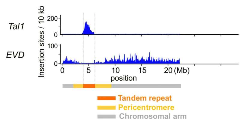 Revealing a key mechanism of rapid centromere evolution