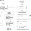 AI Babel Fish becomes reality, allowing direct speech-to-speech ...