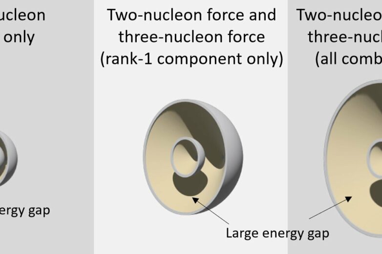 An overlooked nuclear force helps keep matter stable, study reveals