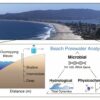 Beach guardians: How hidden microbes protect coastal waters in a ...