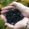 Biochar shown to reduce risks of DDT-contaminated soil