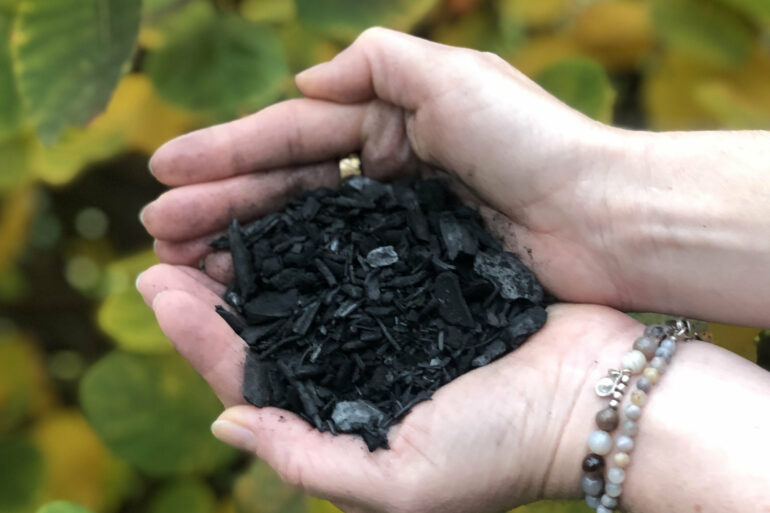 Biochar shown to reduce risks of DDT-contaminated soil