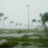 Building resilience: Risk perception and hurricane preparedness in ...