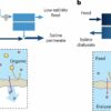 Dialysis-inspired technique 'astonishingly effective' for treating ...