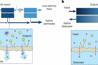 Dialysis-inspired technique 'astonishingly effective' for treating ...