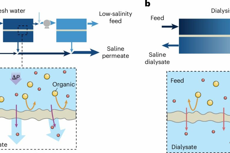 Dialysis-inspired technique 'astonishingly effective' for treating ...