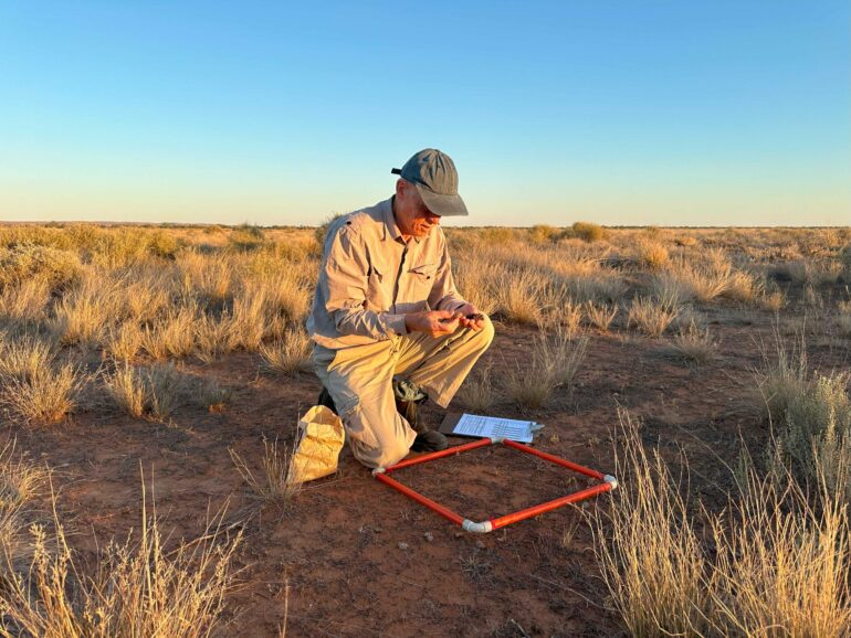 Dung data: How manure can improve global maps of herbivore ...