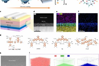 Elimination of newly discovered loss mechanism enhances organic ...