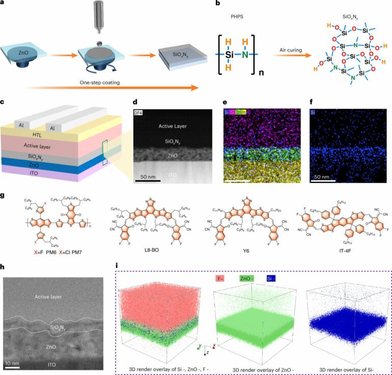 Elimination of newly discovered loss mechanism enhances organic ...