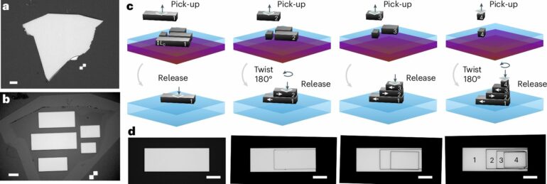 Engineering quantum entanglement at the nanoscale