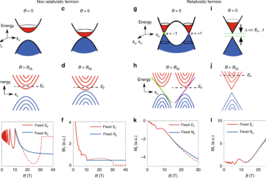 Non-saturating quantum magnetization in Weyl semimetal TaAs ...