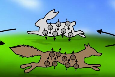 Fox and rabbit in the quantum world: Atomic particles with ...