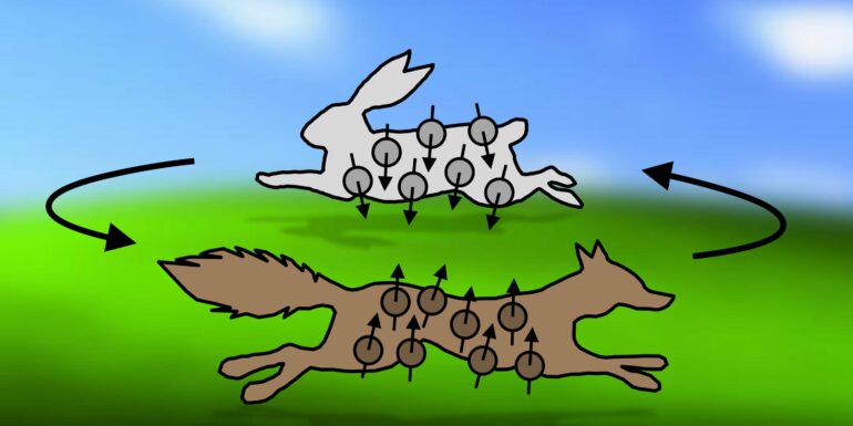 Fox and rabbit in the quantum world: Atomic particles with ...