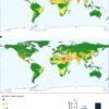 Global model shows how diet can reduce environmental impact