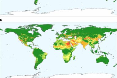 Global model shows how diet can reduce environmental impact