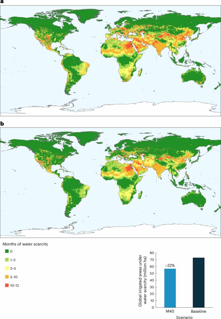 Global model shows how diet can reduce environmental impact