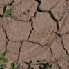 Groundwater threatened by droughts and heavy rainfalls, long-term ...