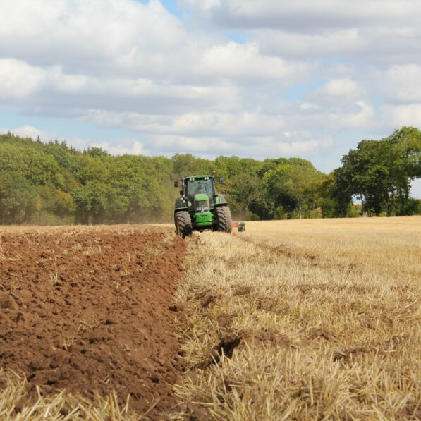 Growing divide: Agricultural climate policies affect food prices ...