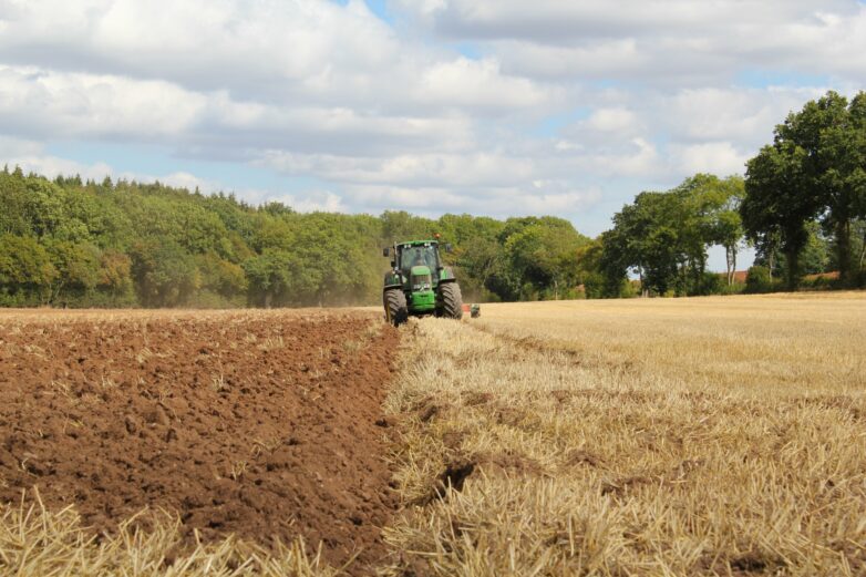 Growing divide: Agricultural climate policies affect food prices ...