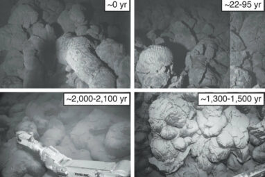 Research reveals Hawai'i's undersea volcano, Kama'ehu, erupted ...